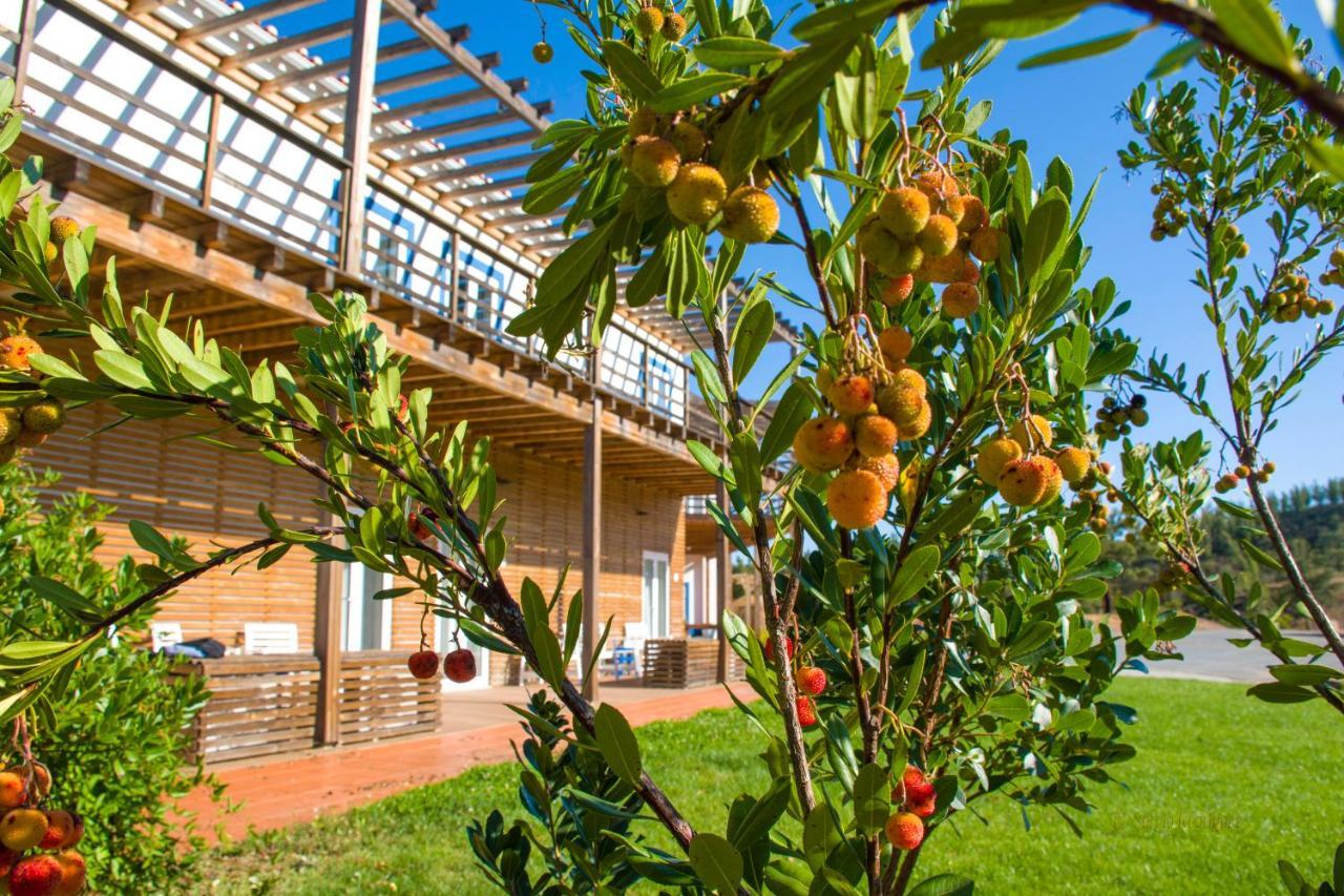 Monte Corgo Da Vaca Villa Saboia Exterior photo